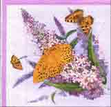 Face A